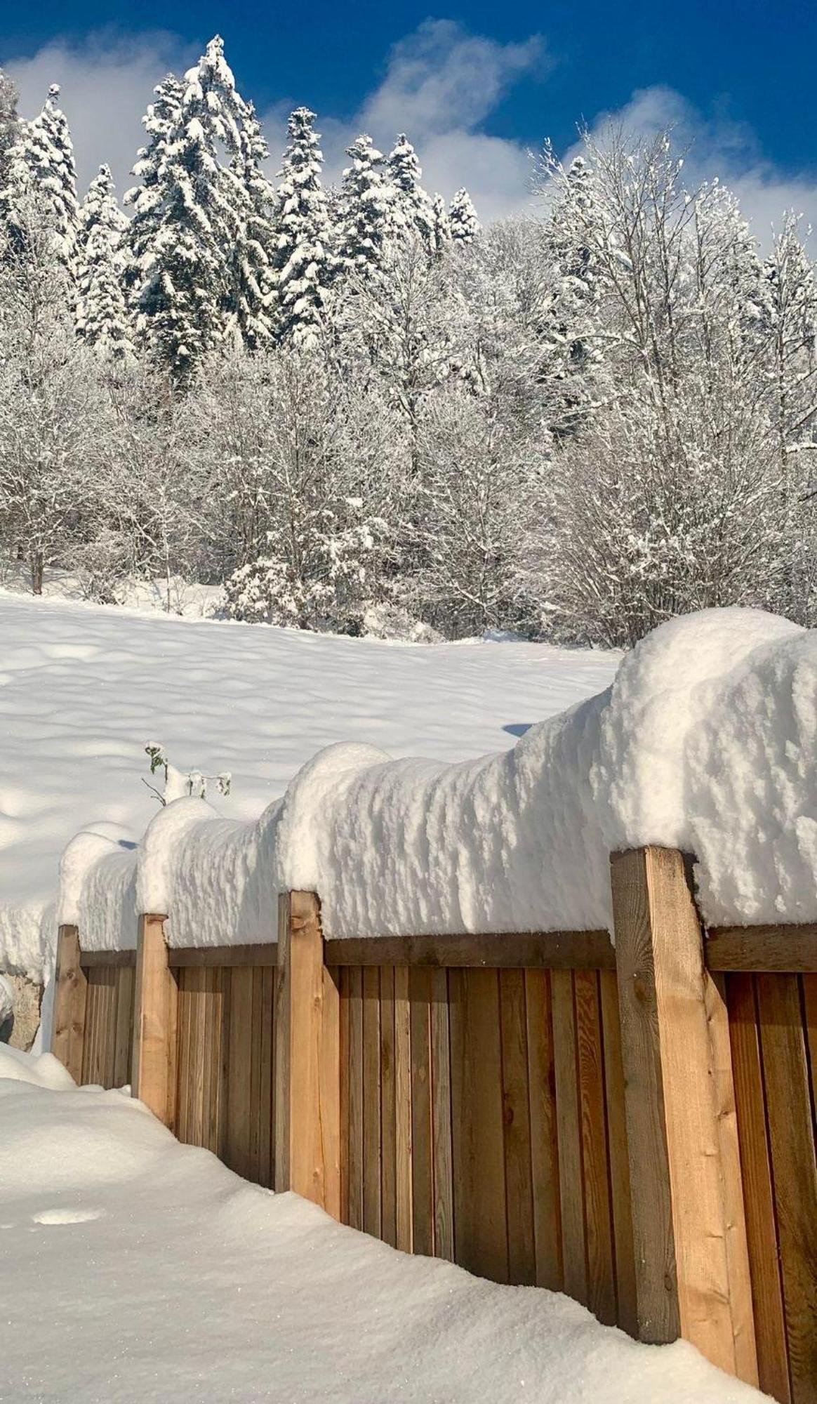 Appartement Naturbunt Soll Luaran gambar